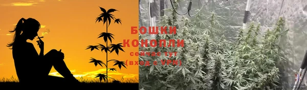 гидропоника Белоозёрский