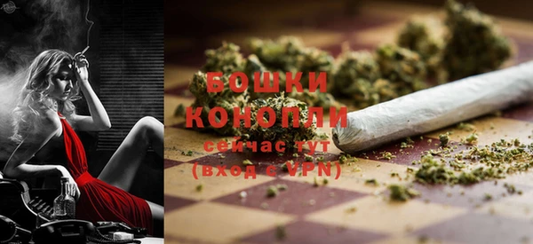 гидропоника Белоозёрский