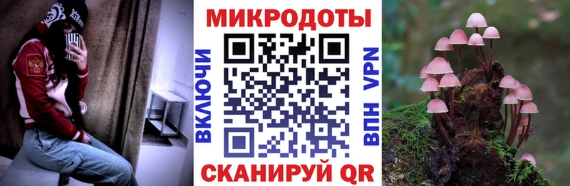 Галлюциногенные грибы ЛСД  Купить где  Лысьва 